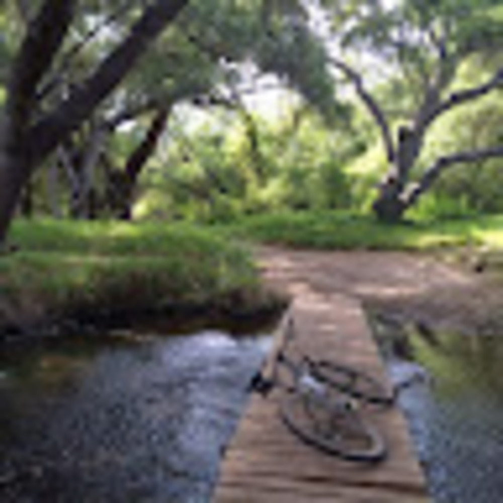 Meet your Posher, Jim